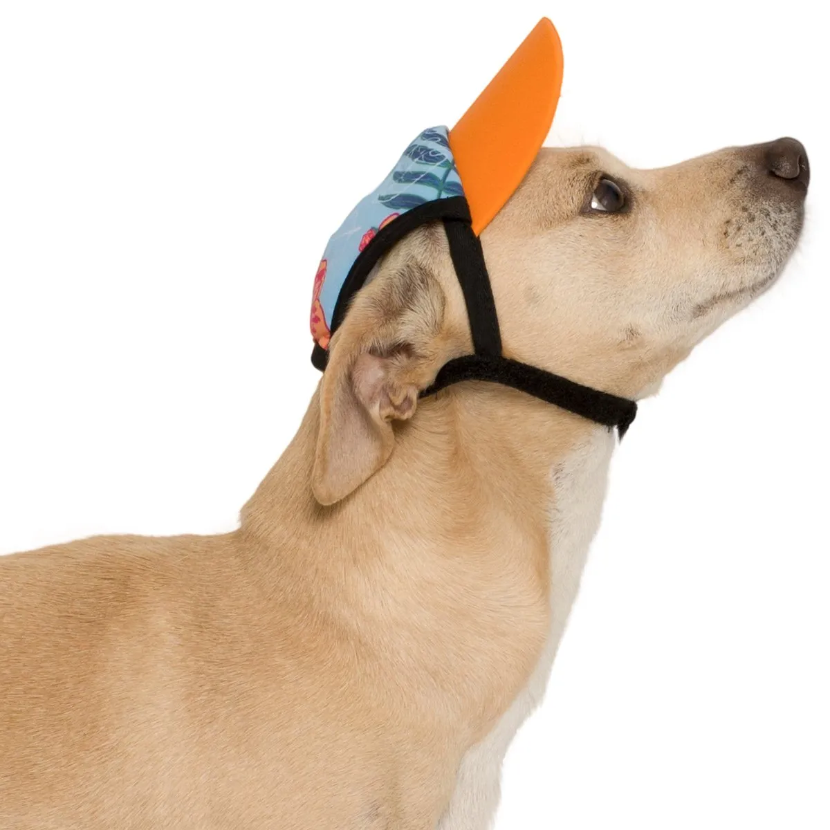 Dog Visor - Tribal Shark Falcon Red