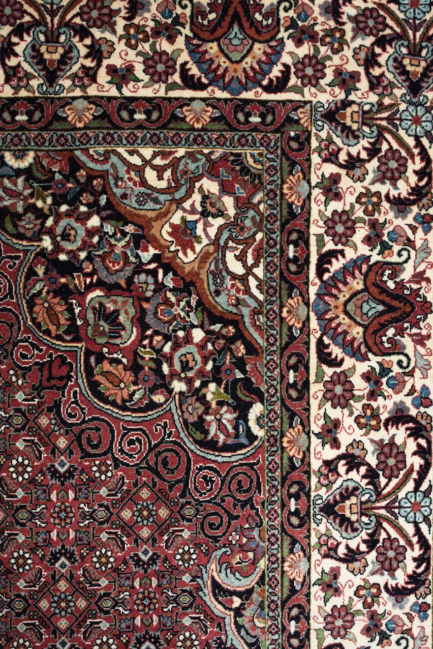 ELIJAH Bidjar 253x248cm