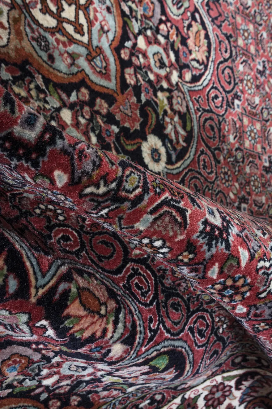 ELIJAH Bidjar 253x248cm