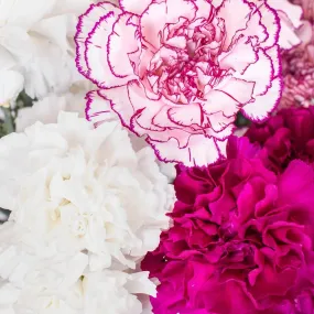 Funky Fuchsia and White Carnation Flower Pack