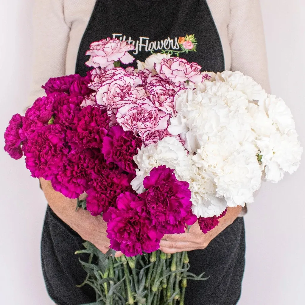 Funky Fuchsia and White Carnation Flower Pack