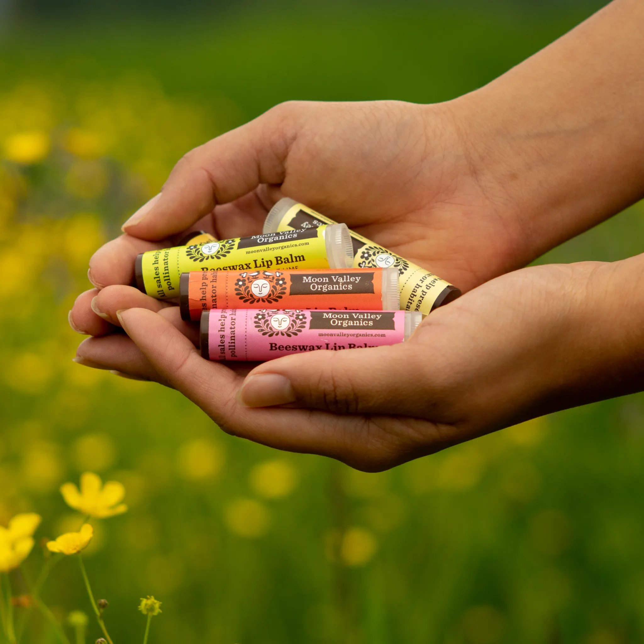 Organic Beeswax Lip Balm 5-Pack (5 Lip Balms for the Price of 4!)