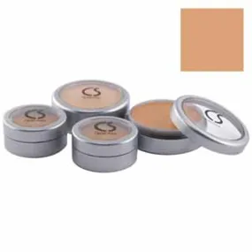 "Flawless Foundation .50 Oz - 302-65A"