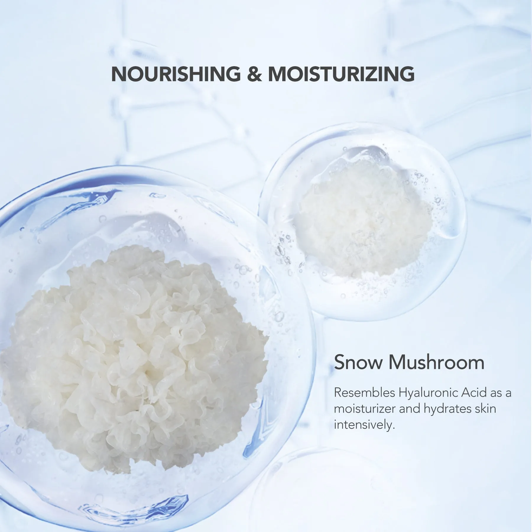 The Radiance White Purifying Facial Foam